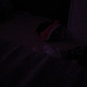 Meet your Posher, Adam